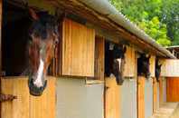 free Hound stable construction quotes